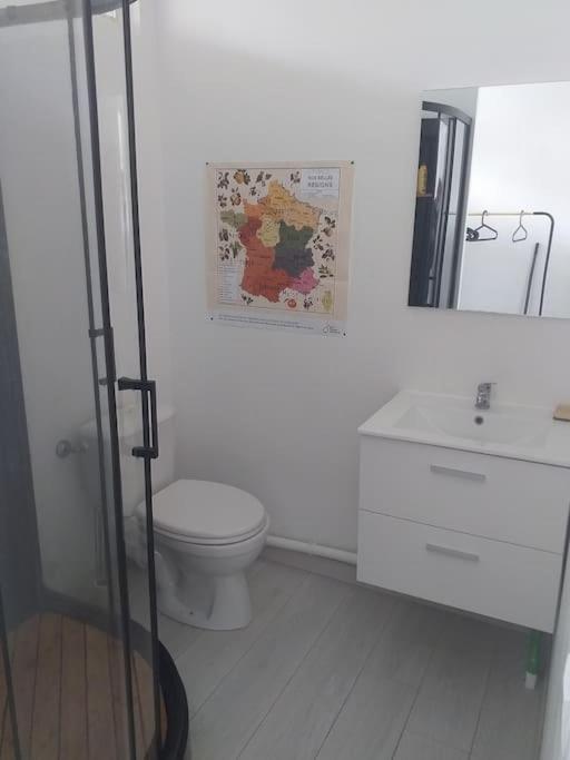 Studio Meuble Wifi A Proximite Du Tram Кастелно-льо-Ле Екстериор снимка